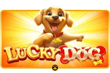 Speed Blackjack hand history and settlement display